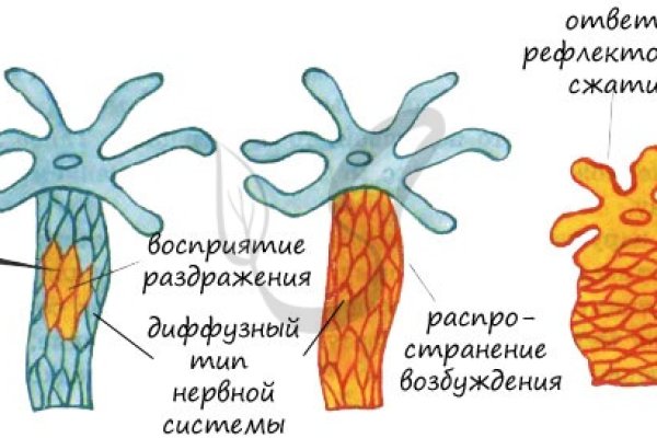 Ссылки для tor