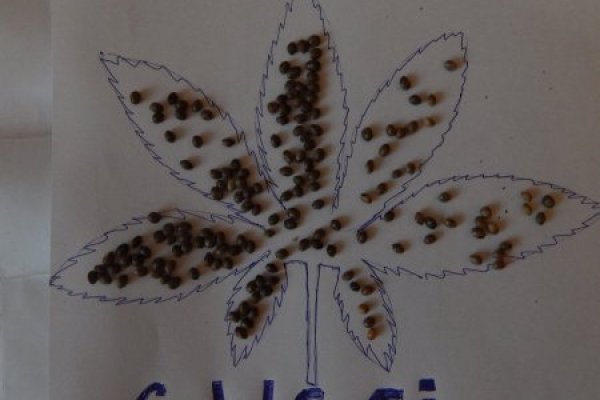 Сайт кракен что это такое