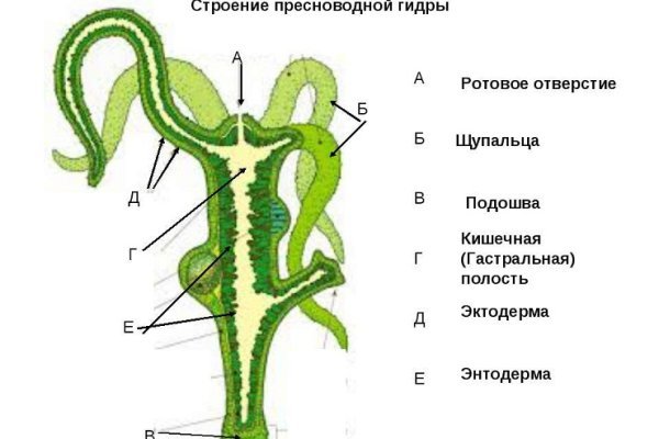 Кракен площадка ссылка