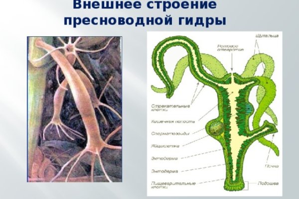 Рабочее зеркало кракен store