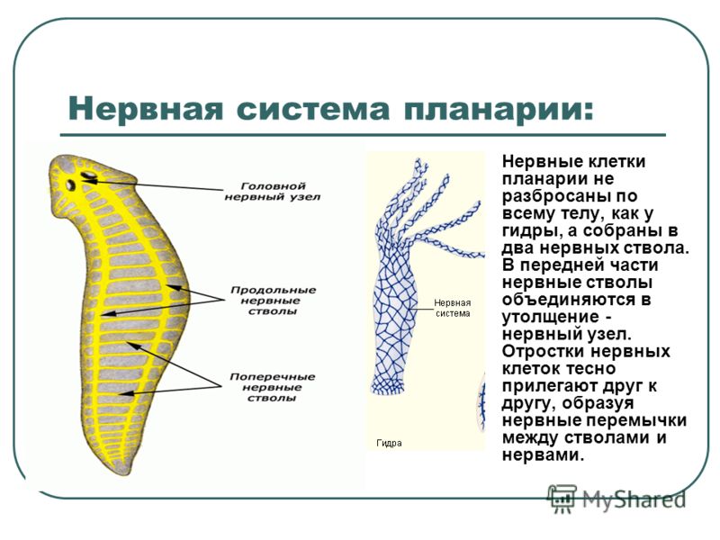 Зайти на кракен