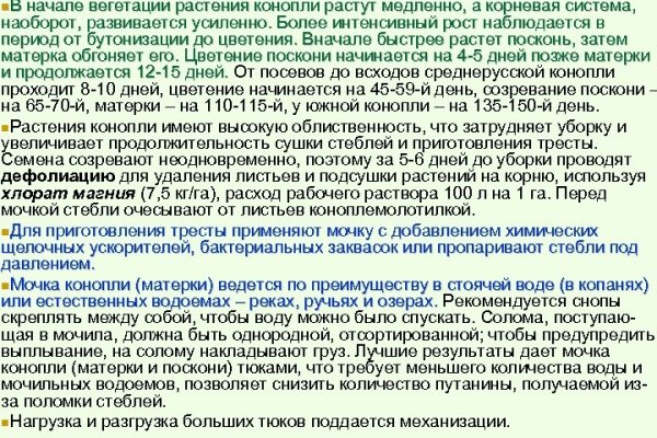 Кракен даркнет купить