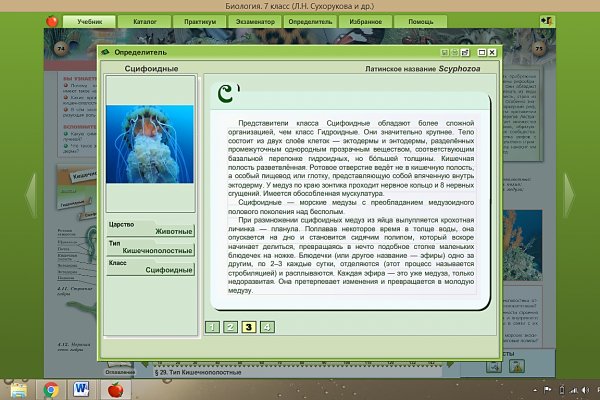 Кракен маркет только через тор