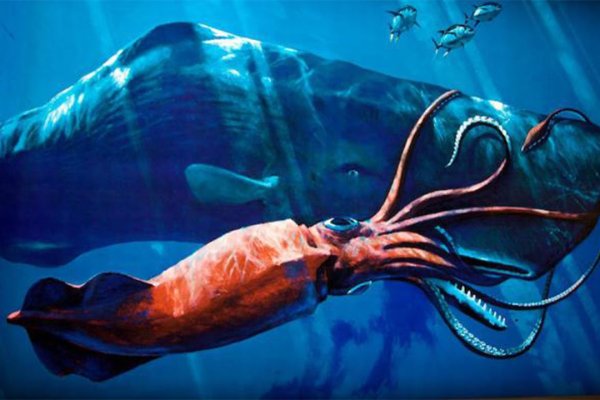Kraken официальная ссылка