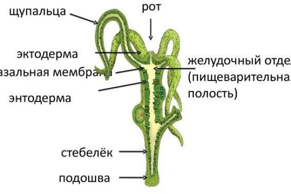 Кракен перестал работать