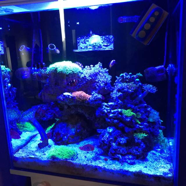 Kraken 13at сайт